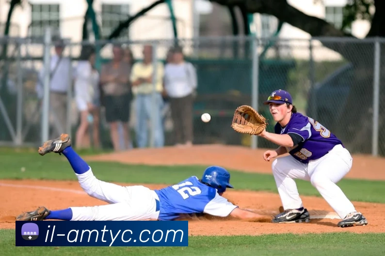 太阳城娱乐平台生态图